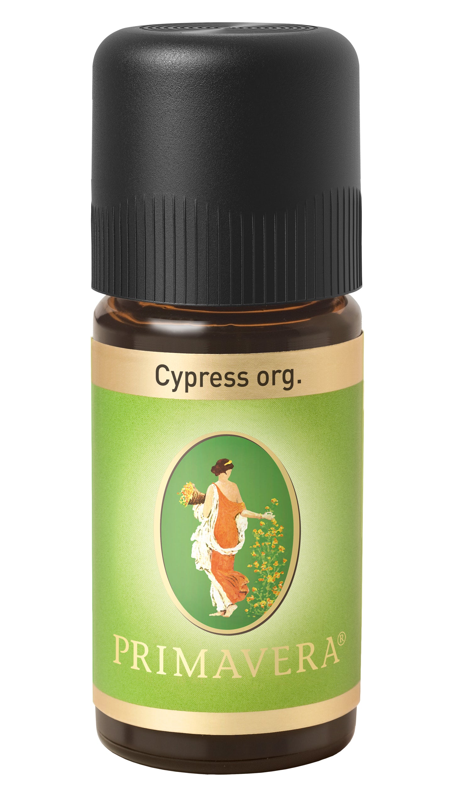 Cypress (Organic)
