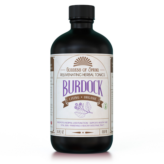 Living Fermented Burdock