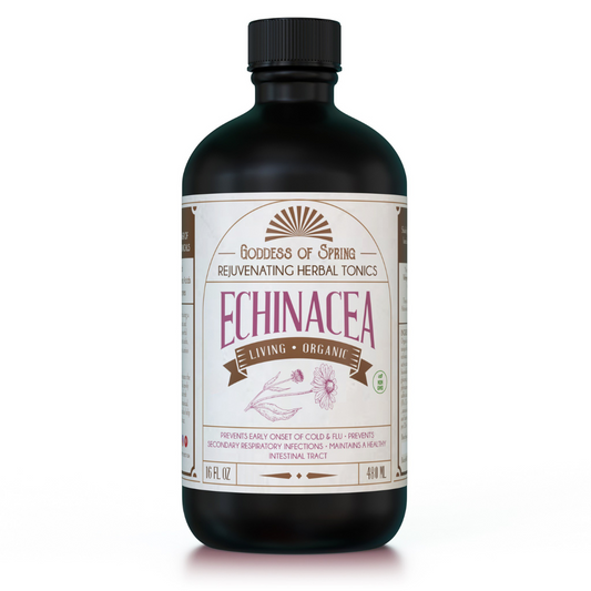 Living Fermented Echinacea