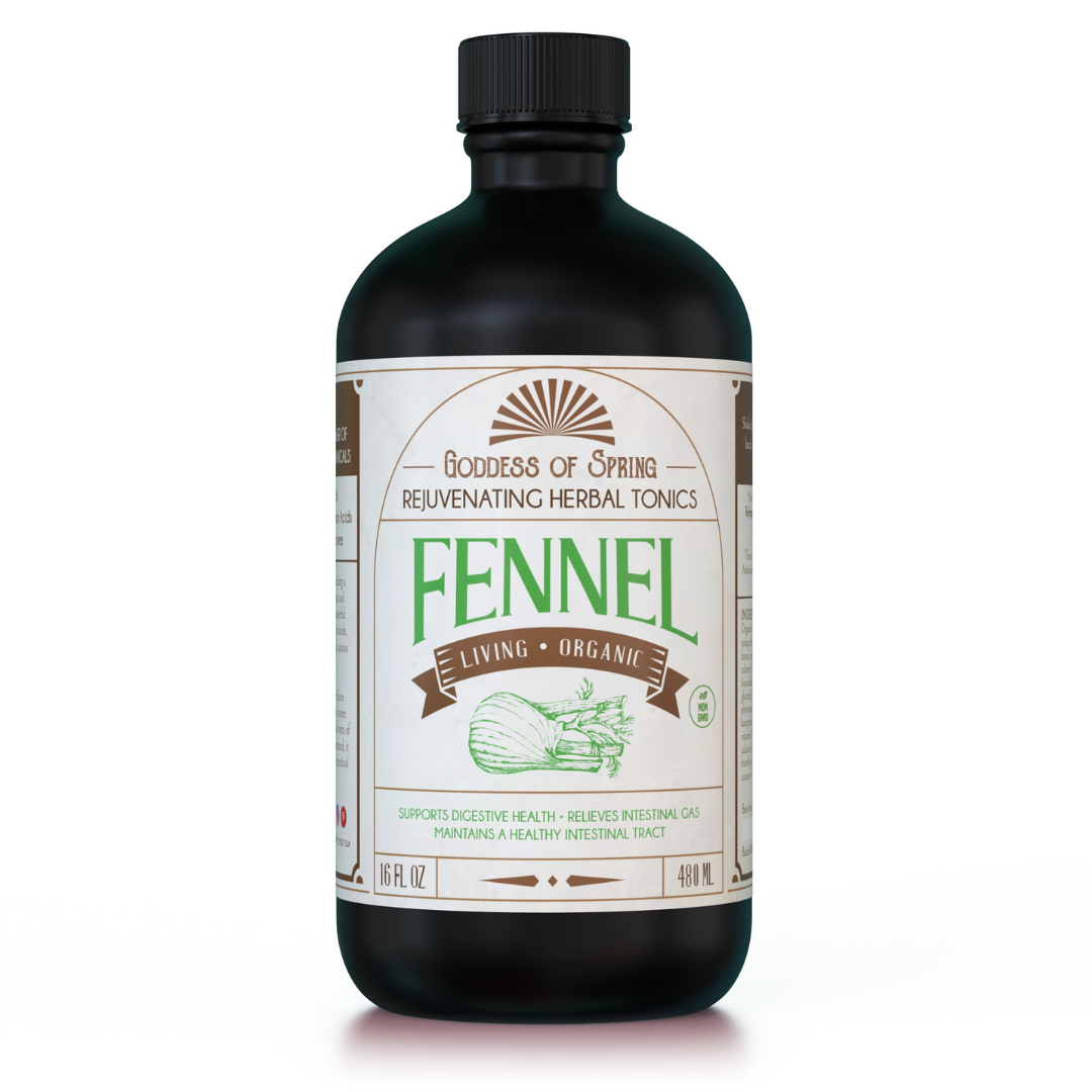 Living Fermented Fennel