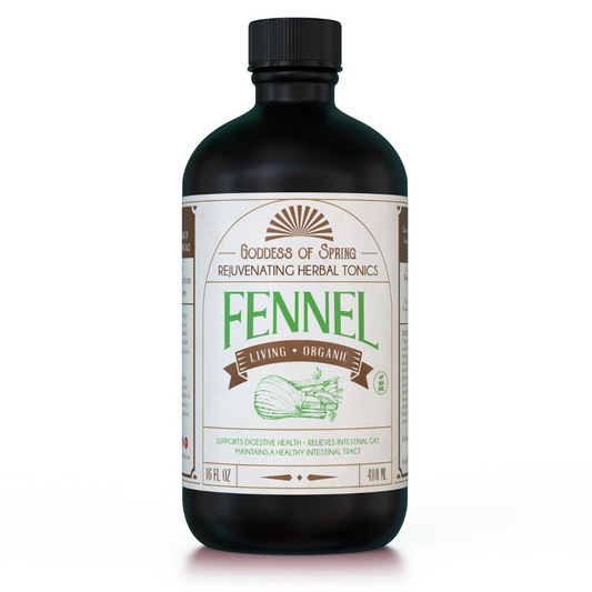 Living Fermented Fennel
