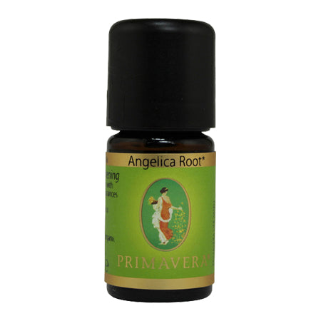 Angelica Root (Organic)