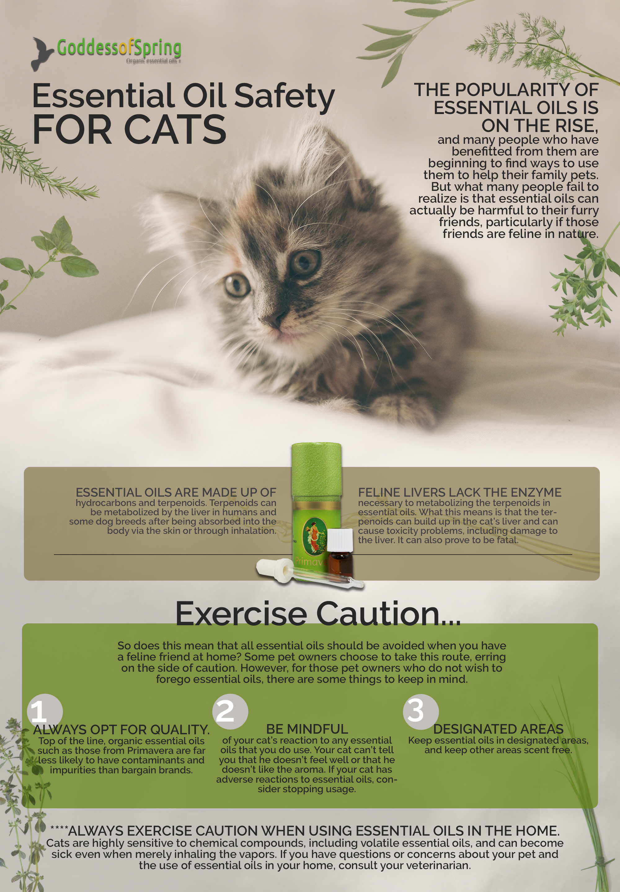 Essential Oil Safety for cats