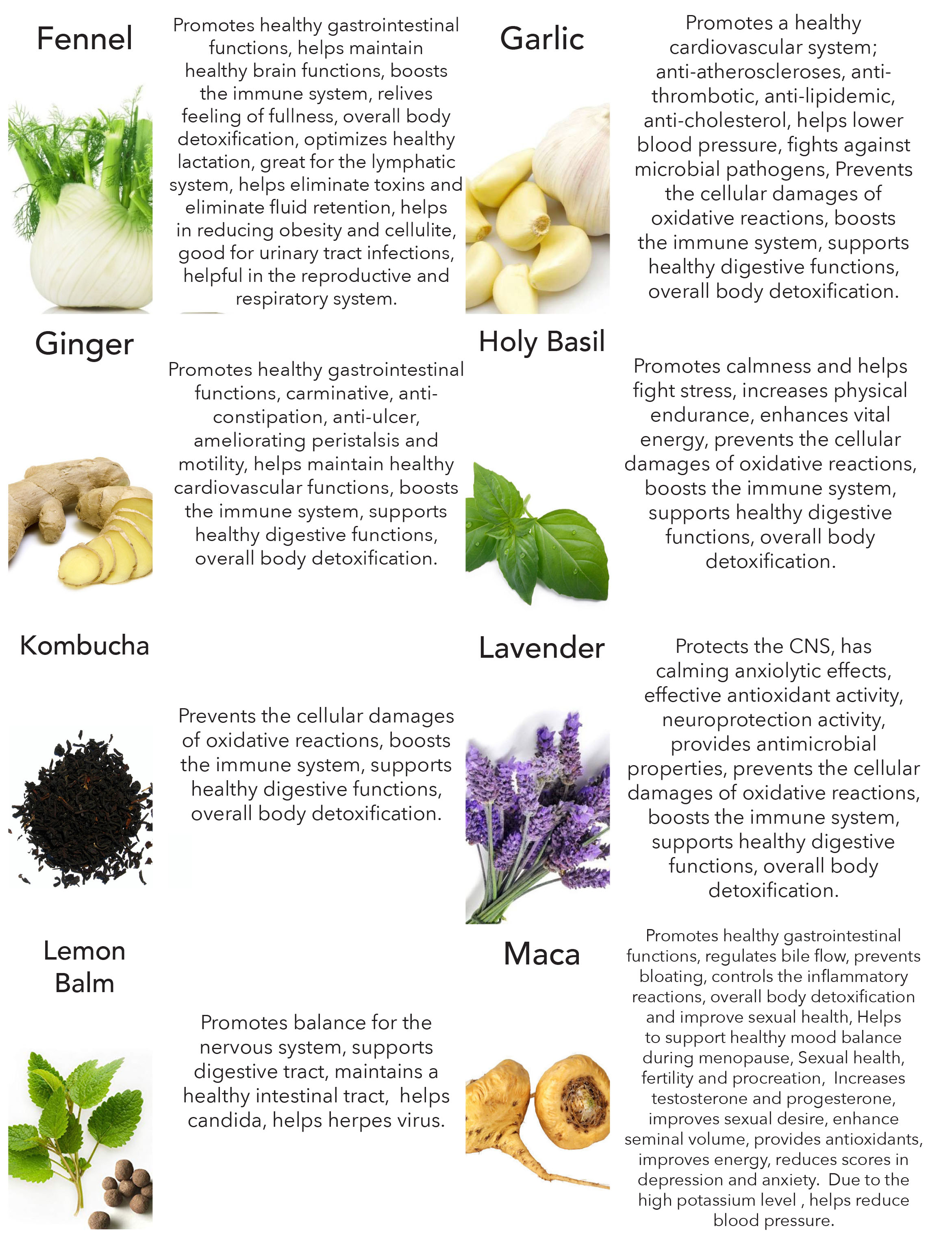 Benefits of Fermented Herbs