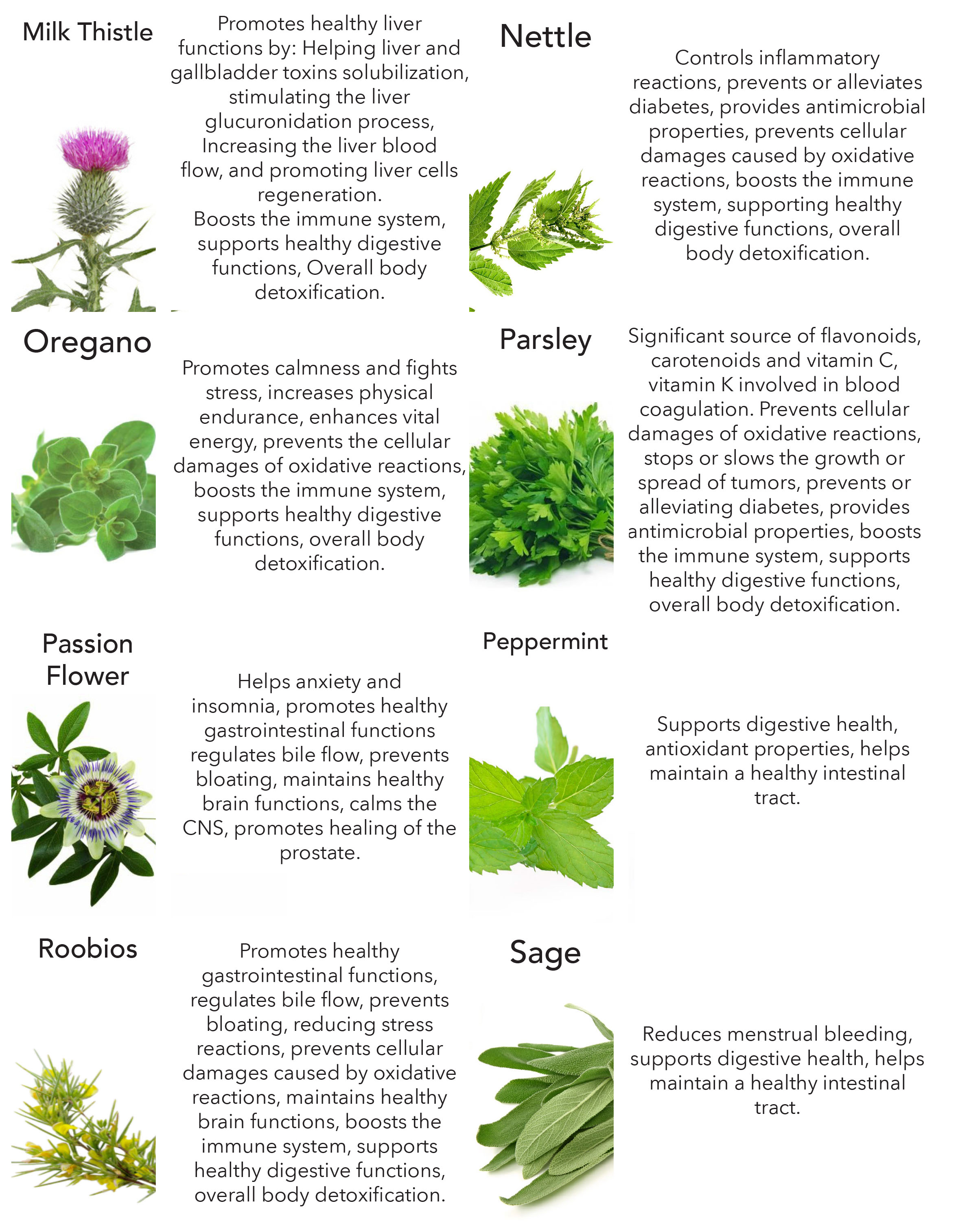 Fermented Herbs Benefits