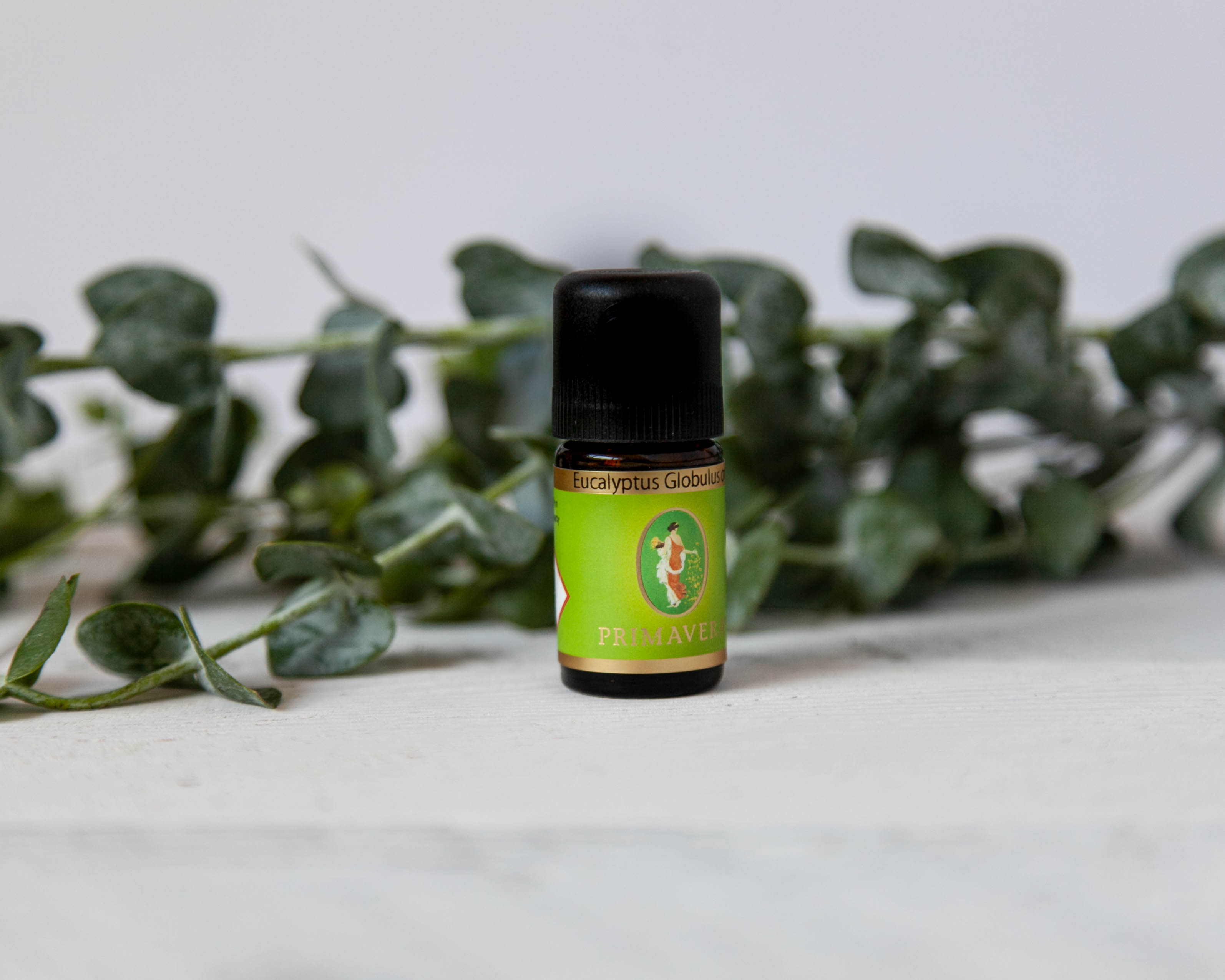 Eucalyptus essential oils